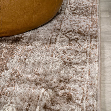 Perfect rosalia Cottage Medallion Area Rug
